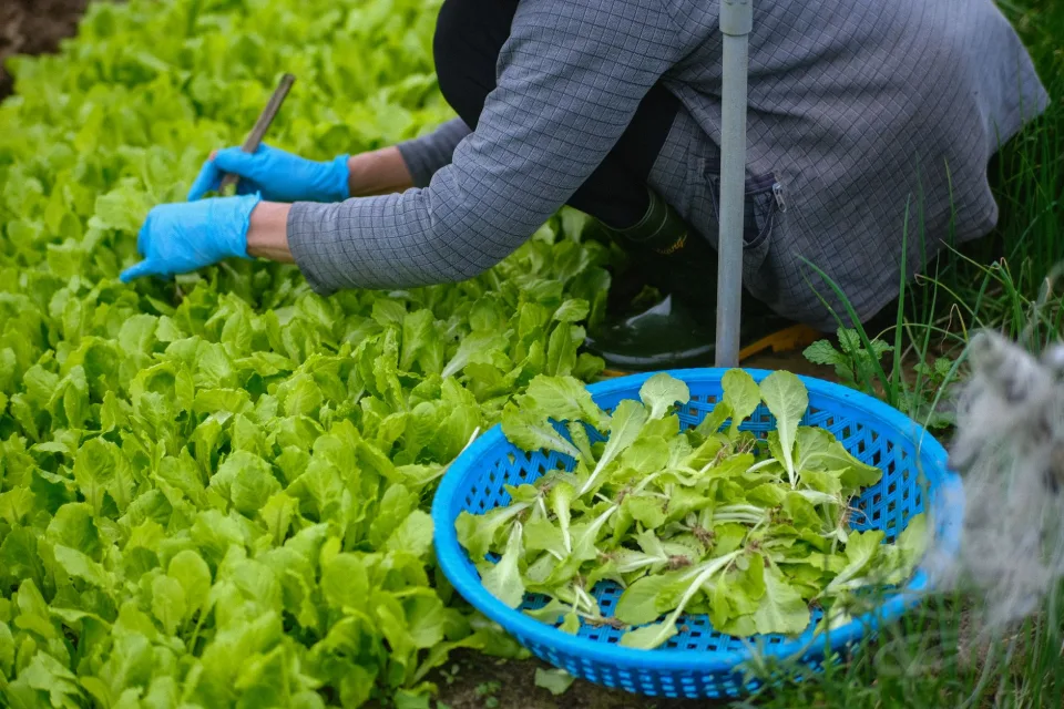 Kho vật tư và dụng cụ